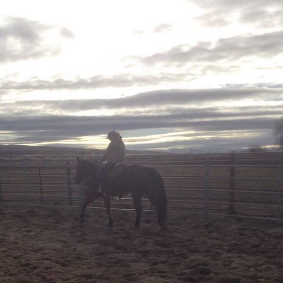 Meet your Posh Ambassador - Picture 1 of 1